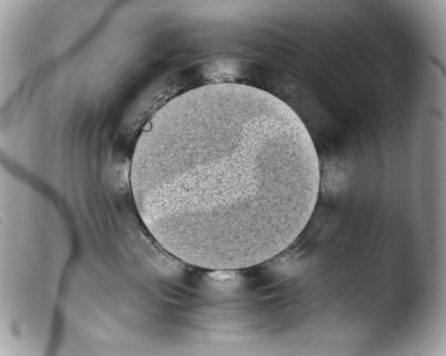 X0000103960477200810171906