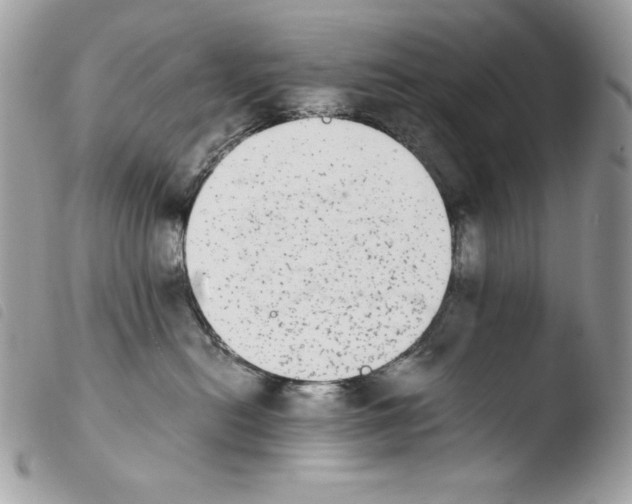 X0000103960478200810171906