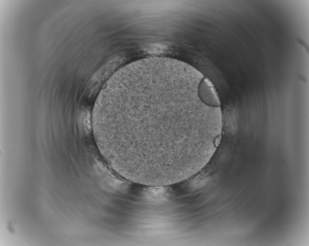 X0000103960479200810171906