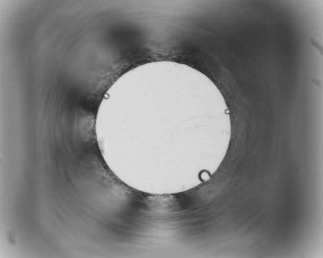 X0000103960480200810171906