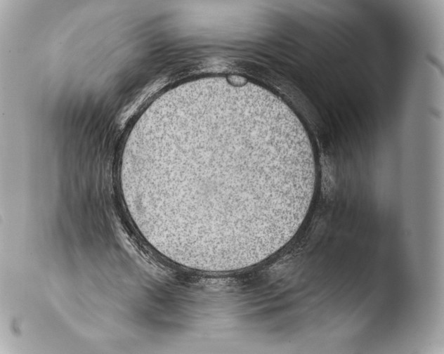 X0000103960482200810171905