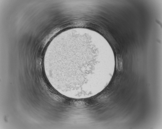 X0000103960483200810171905