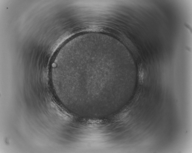 X0000103960484200810171905