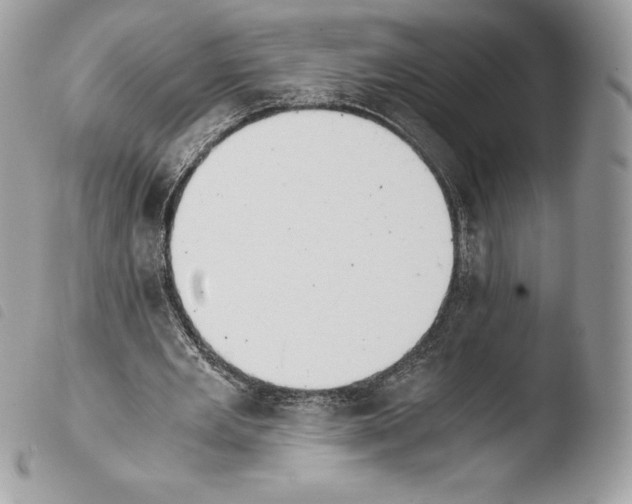 X0000103960485200810171905