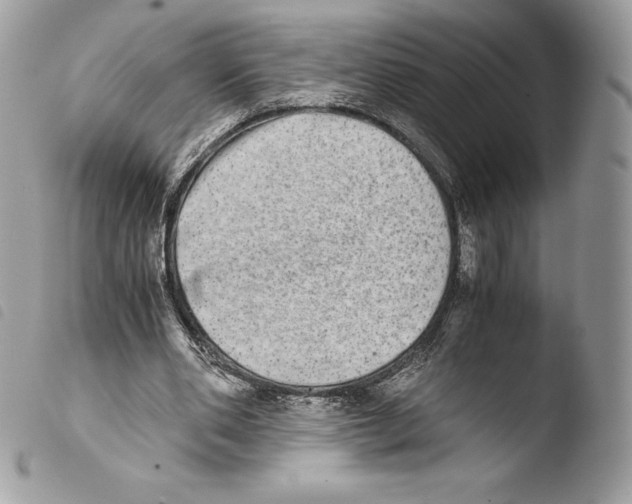 X0000103960486200810171905