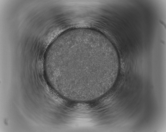 X0000103960487200810171905