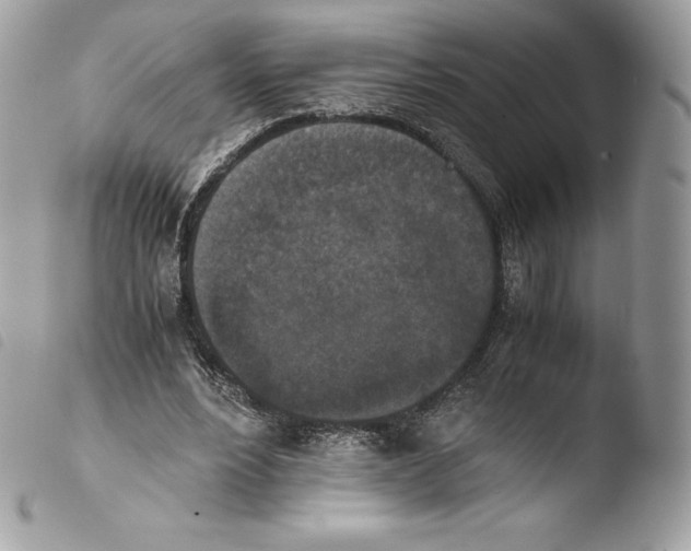 X0000103960488200810171905