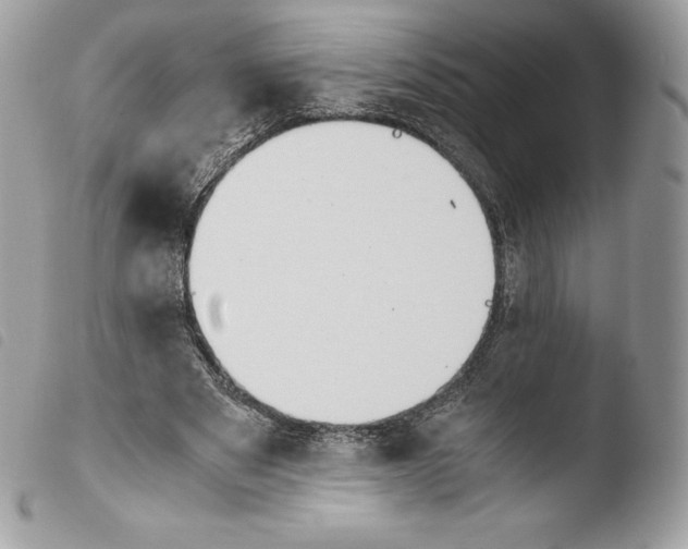 X0000103960489200810171905