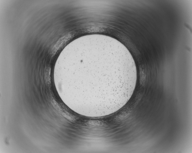 X0000103960490200810171905