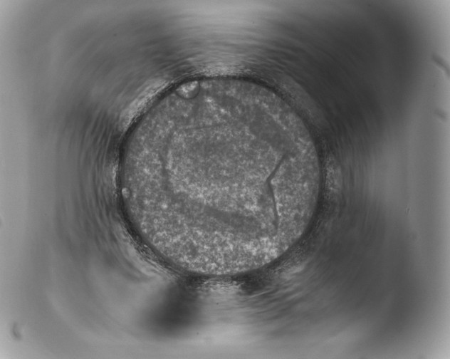 X0000103960491200810171905