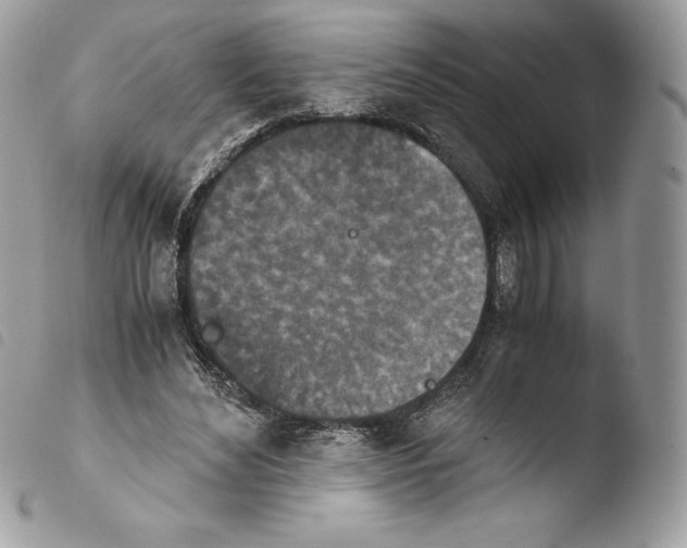 X0000103960492200810171905