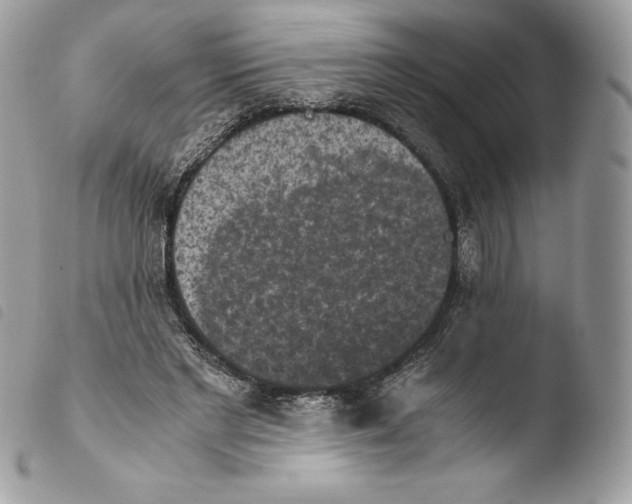 X0000103960493200810171905