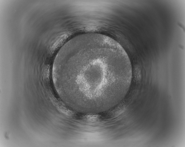 X0000103960495200810171905