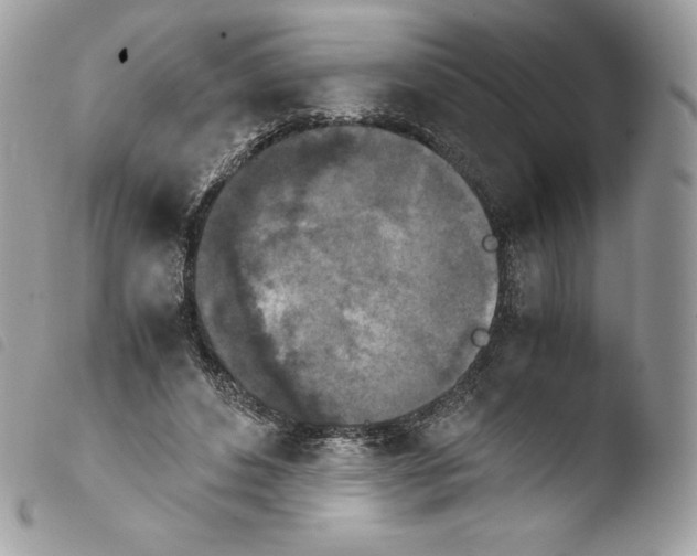 X0000103960496200810171905