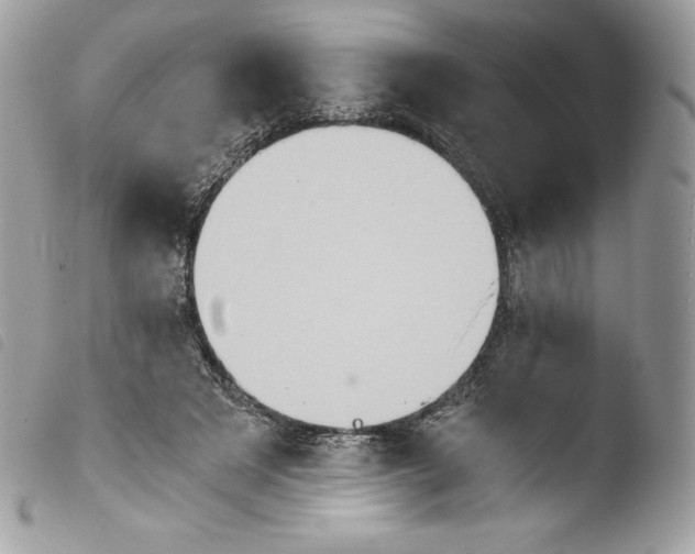 X0000103960497200810171905