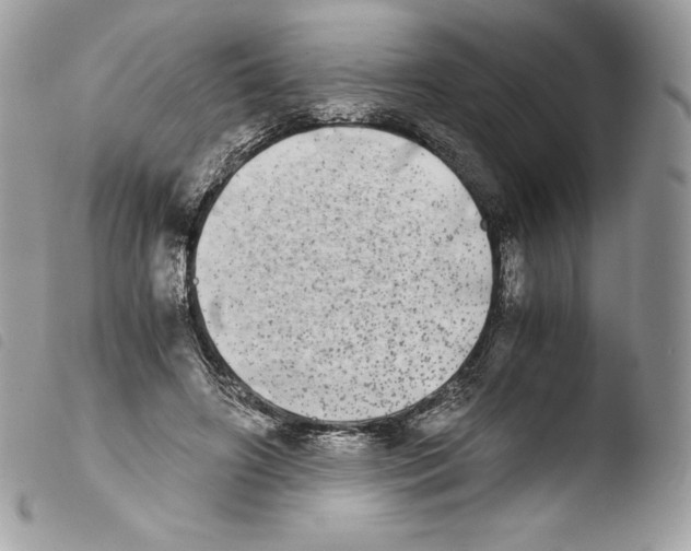 X0000103960498200810171905