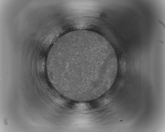 X0000103960499200810171905