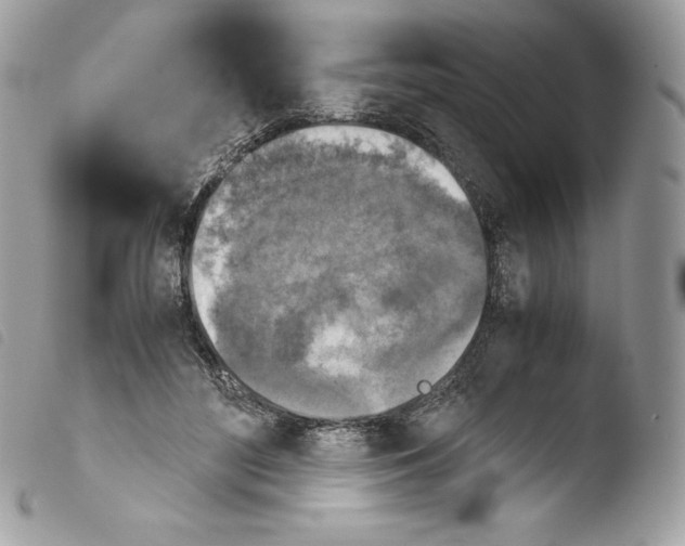 X0000103960500200810171905