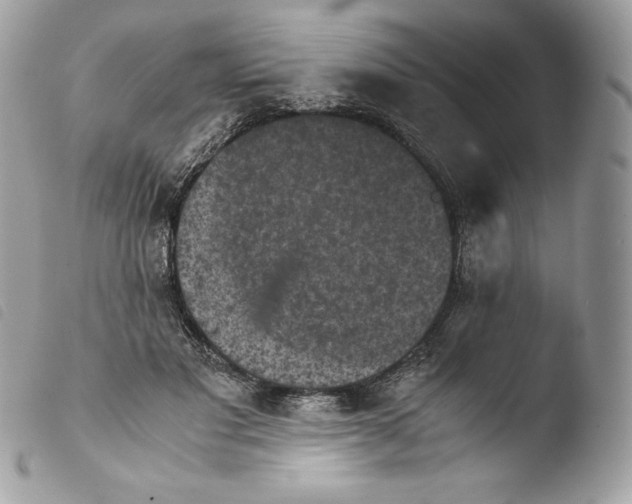 X0000103960501200810171905