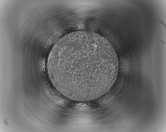 X0000103960502200810171905