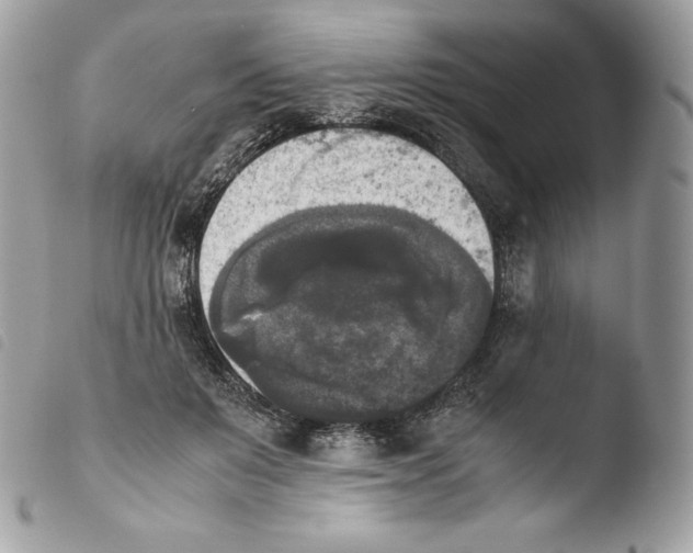 X0000103960503200810171905