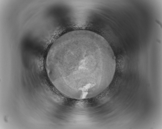 X0000103960504200810171905