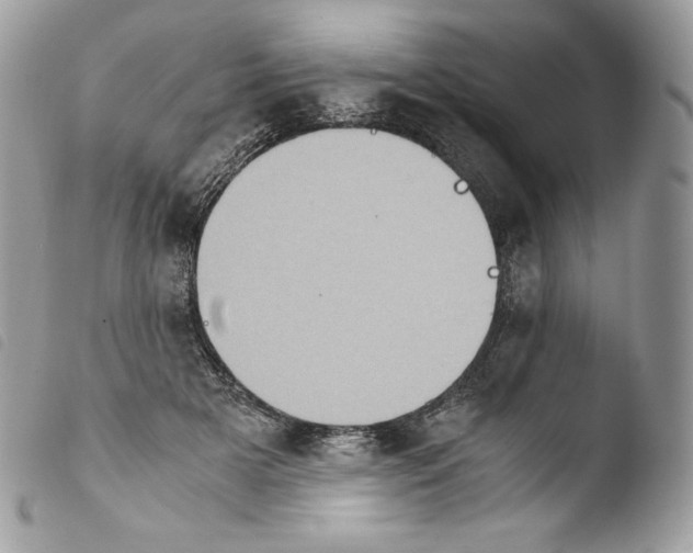 X0000103960505200810171905