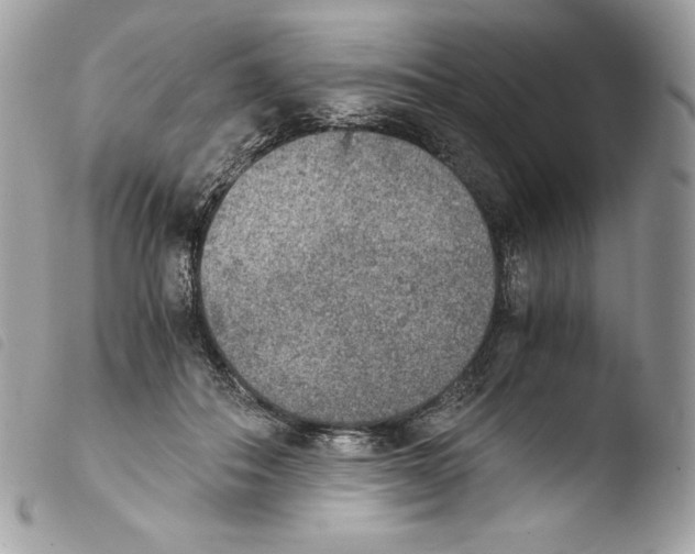 X0000103960506200810171905