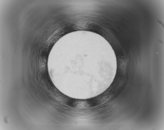 X0000103960507200810171905