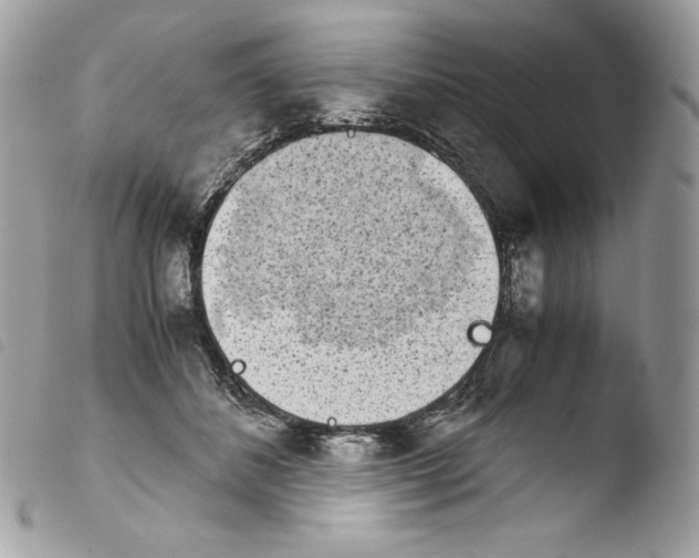 X0000103960508200810171905