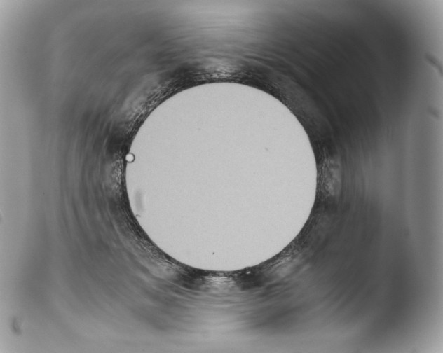 X0000103960509200810171905