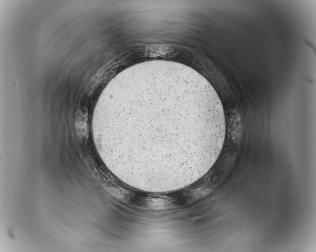 X0000103960510200810171905