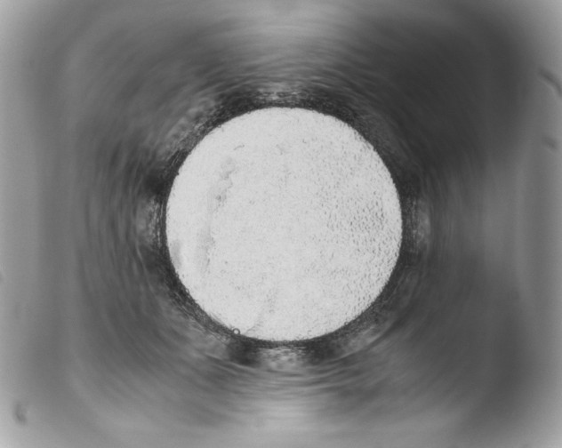 X0000103960511200810171905