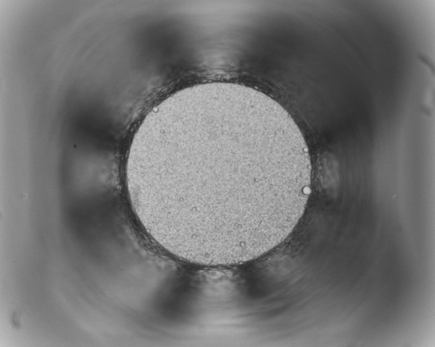 X0000103960512200810171905