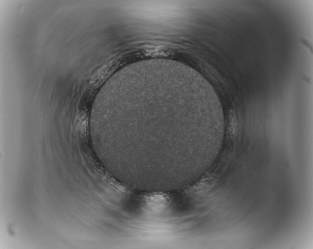 X0000103960513200810171905