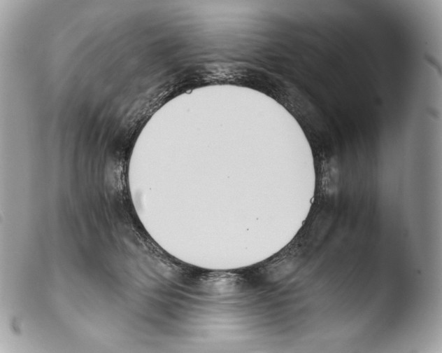 X0000103960514200810171905