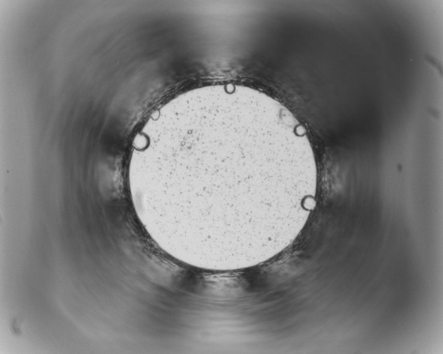 X0000103960516200810171905