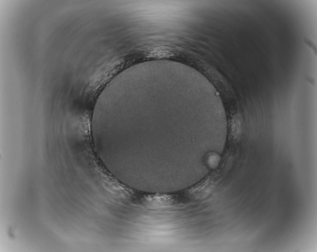 X0000103960517200810171905