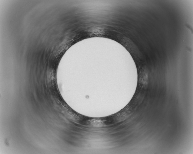 X0000103960518200810171905