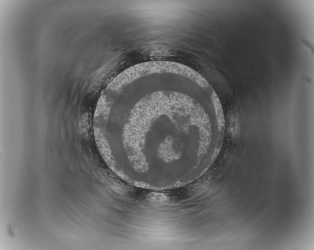 X0000103960519200810171905