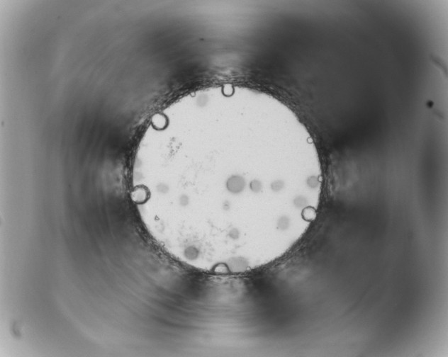 X0000103960520200810171905