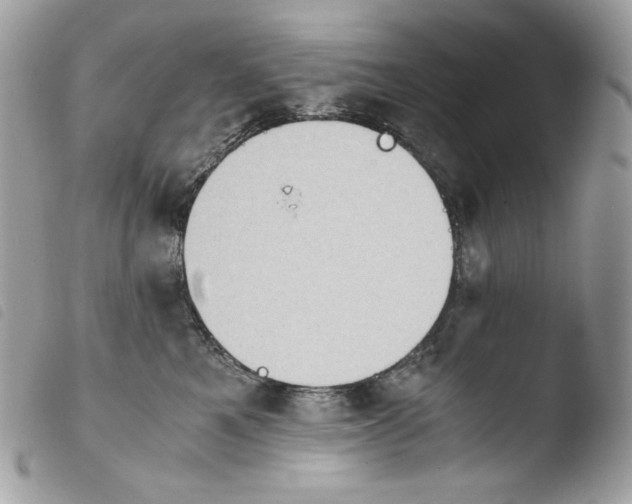 X0000103960521200810171905