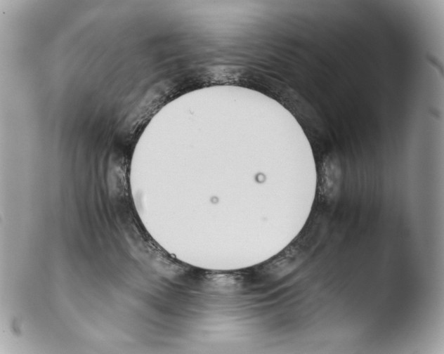 X0000103960522200810171904