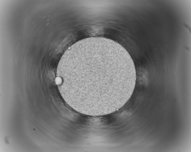 X0000103960523200810171904