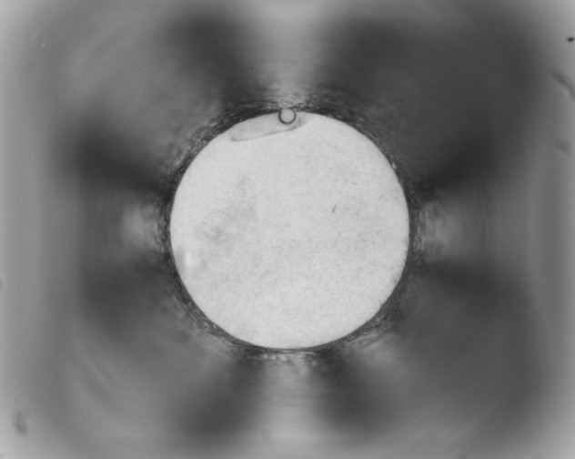 X0000103960524200810171904