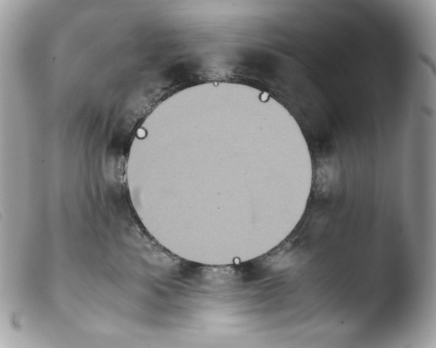 X0000103960525200810171904