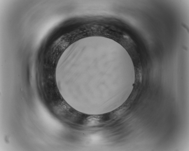 X0000103960526200810171904