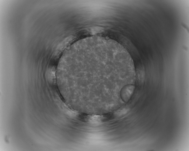 X0000103960527200810171904