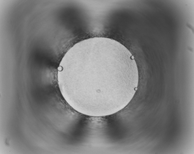 X0000103960528200810171904