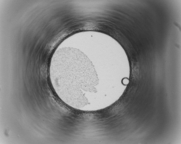 X0000103960530200810171904